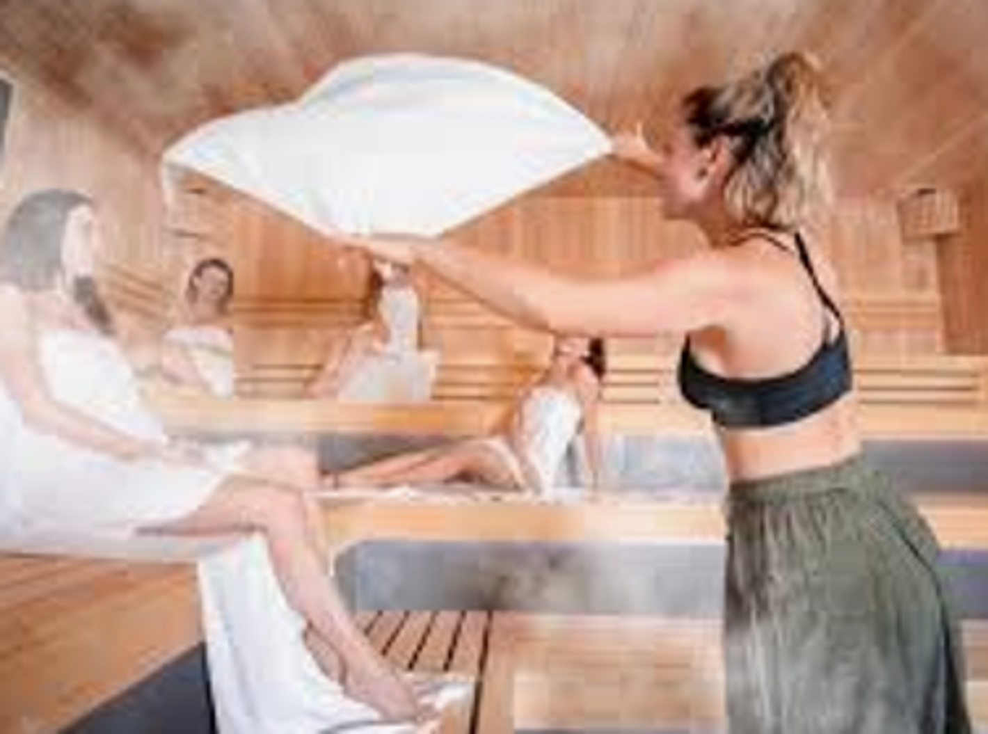 Billedet viser saunagus